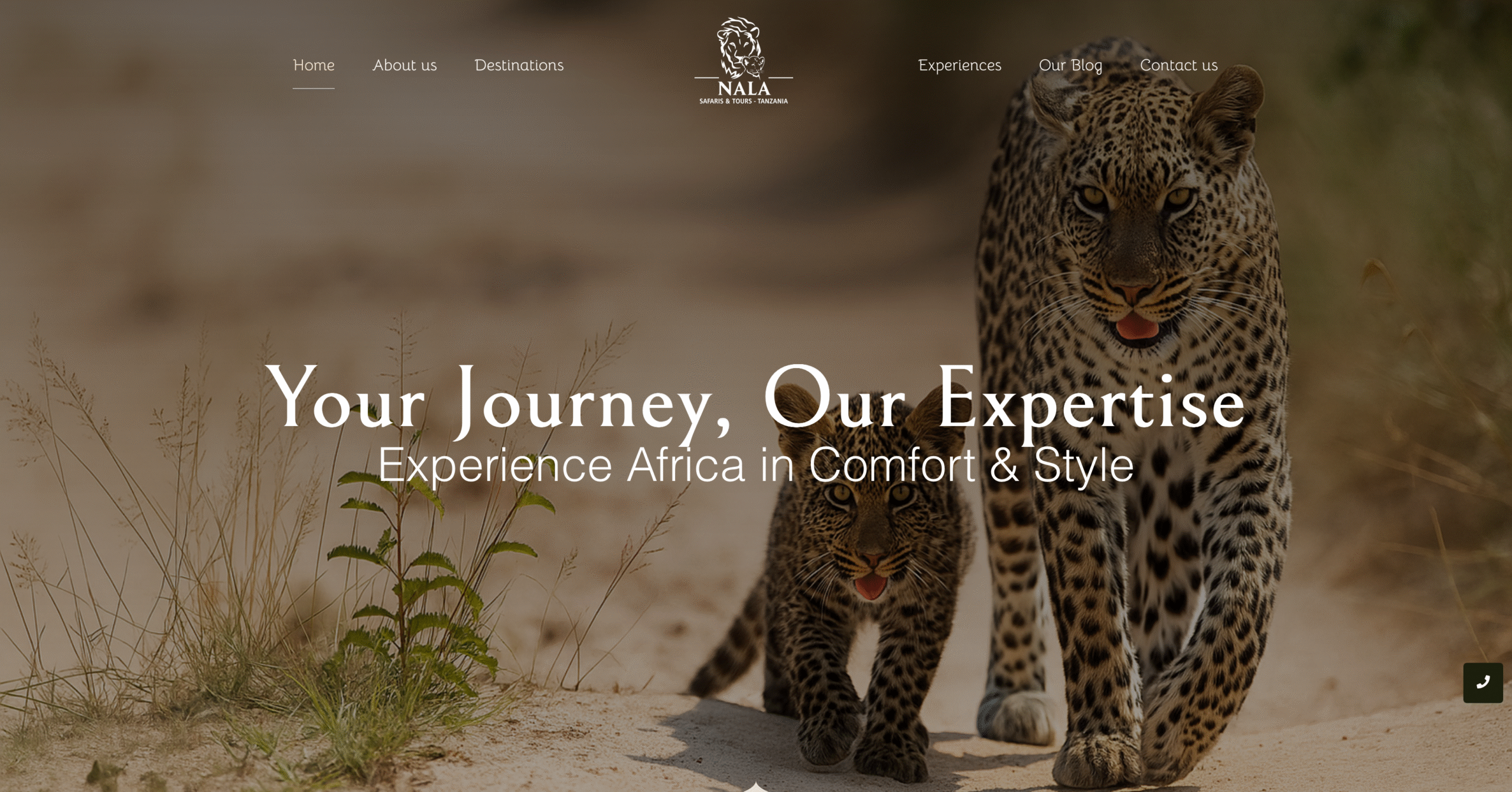 Screenshot 2025-11-05 at 13-33-31 Nala Tours – Tanzania Luxury Safari Experts